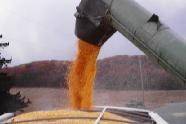Grain Prices Grain Prices